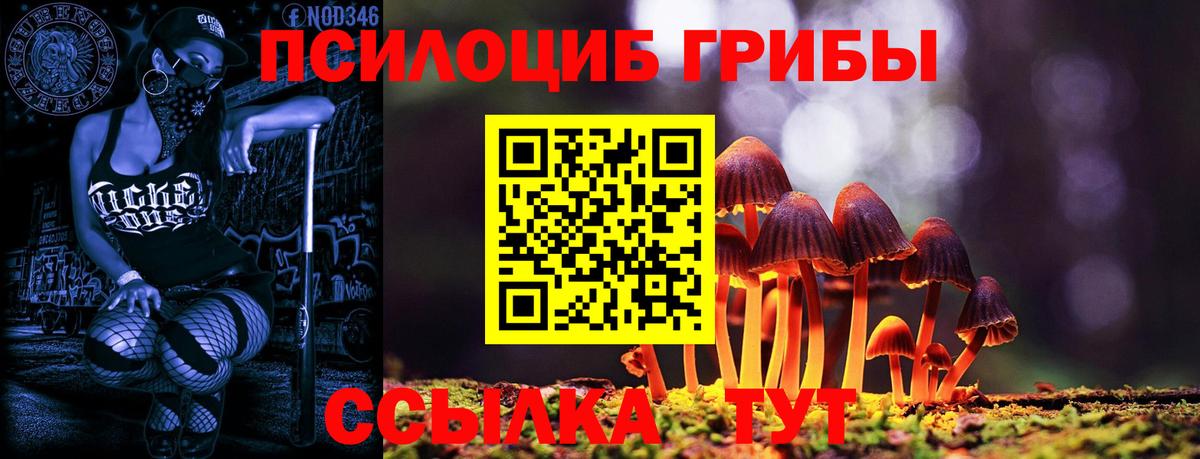 что такое   Псилоцибиновые грибы прущие грибы  Вход с VPN  Северск 